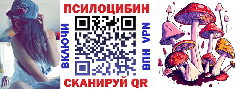 даркнет официальный сайт  наркотики  Евпатория  Галлюциногенные грибы прущие грибы 